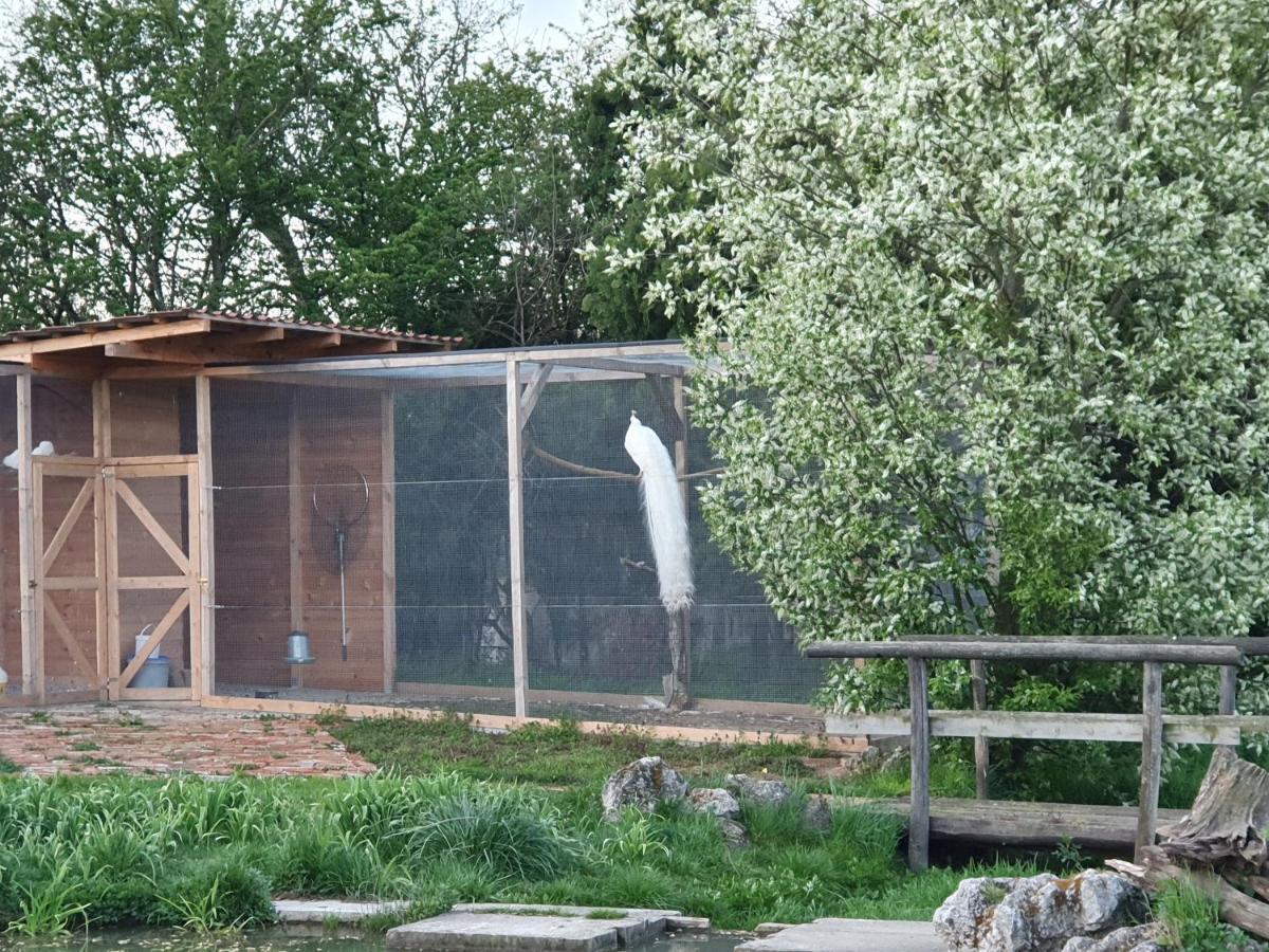 U Durkovych Guest House Zabokreky Nad Nitrou Exterior photo